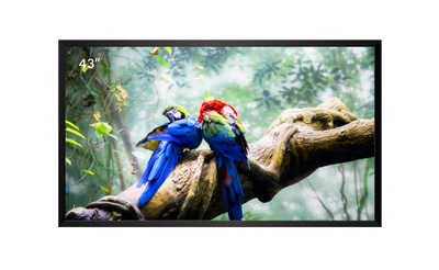 43"デジタルネットワークサイネージ(1500cd/㎡)